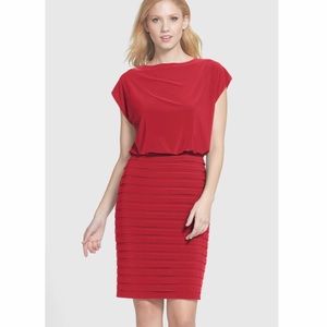 Adrianna Papell Blouson Pleat Shutter Jersey Dress